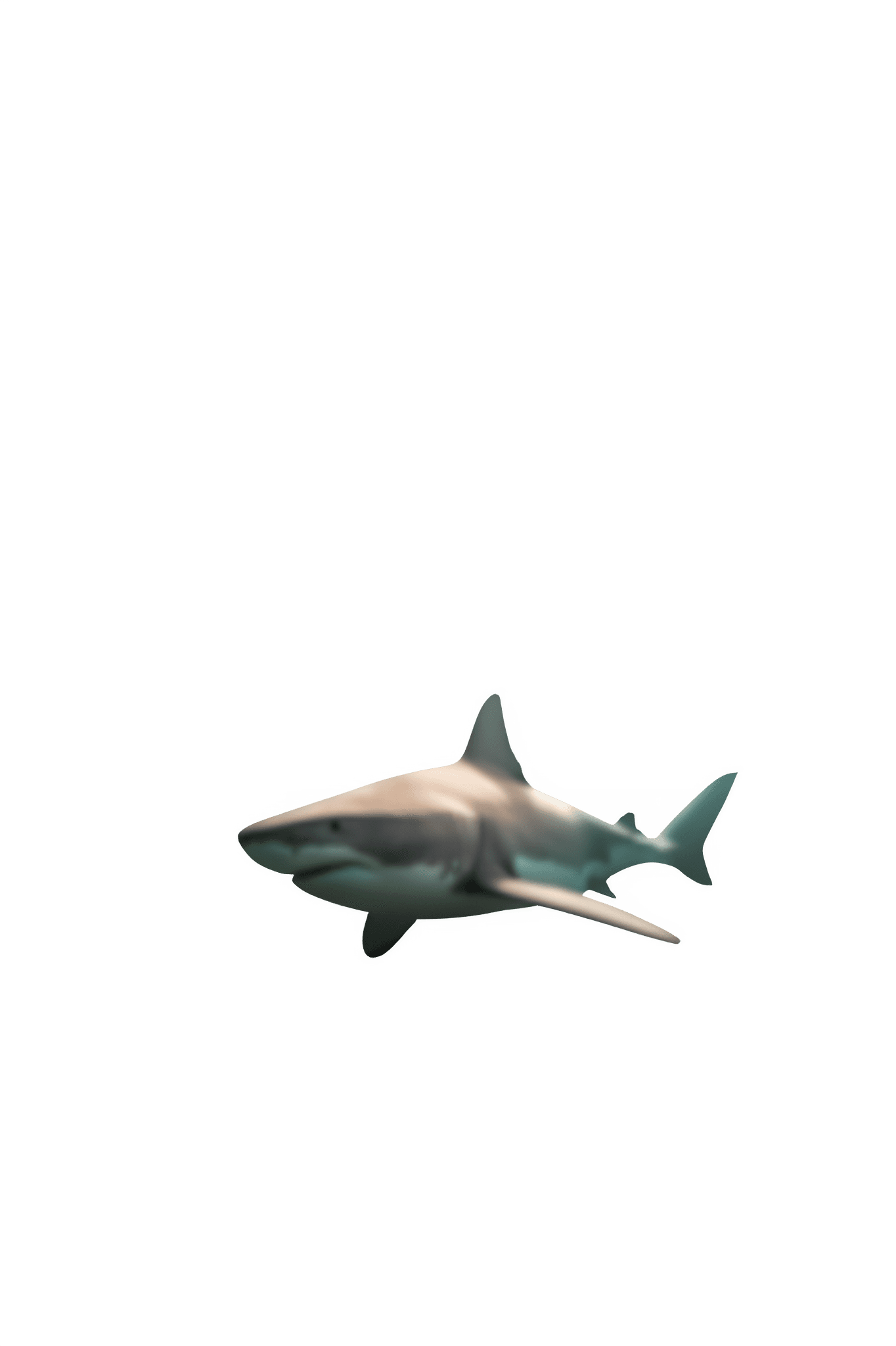 Shark